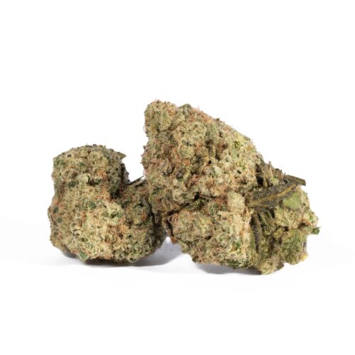 Jack Herer packs a lifted and energizing high that's perfect for a day when you need a little extra oomph to get up and moving. You'll feel the effects hit you almost as soon as you exhale, filling your brain with a lifted sense of clear-headed euphoria and motivation that's accented by a boost in creativity and focus. You'll find that conversations come easily in this state as you're inspired to talk about anything and everything from philosophy to your favorite foods.