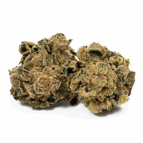 Blue Cheese is a good choice when treating anxiety, depression, or pain, but it also works well on migraines, PTSD, ADHD, and bipolar disorder. Insomniacs can find strong relief in this strain as well. The indica portion is very apparent in the body high, while the sativa portion keeps the strain lively.