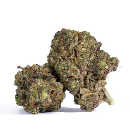 Pink Rockstar is the perfect bud for any indica lover who wants a high level of potency behind their medicine. This bud has beautifully dense and tight minty green nugs with bright pink undertones, lots of orange hairs and a coating of pink-tinted white crystal trichomes. As you pull apart each sticky and sparkly little nugget, aromas of fresh sweet woods and spicy flowers are released, all wrapped up with a spicy diesel overtone that turns pungent as the nugs are burned away.