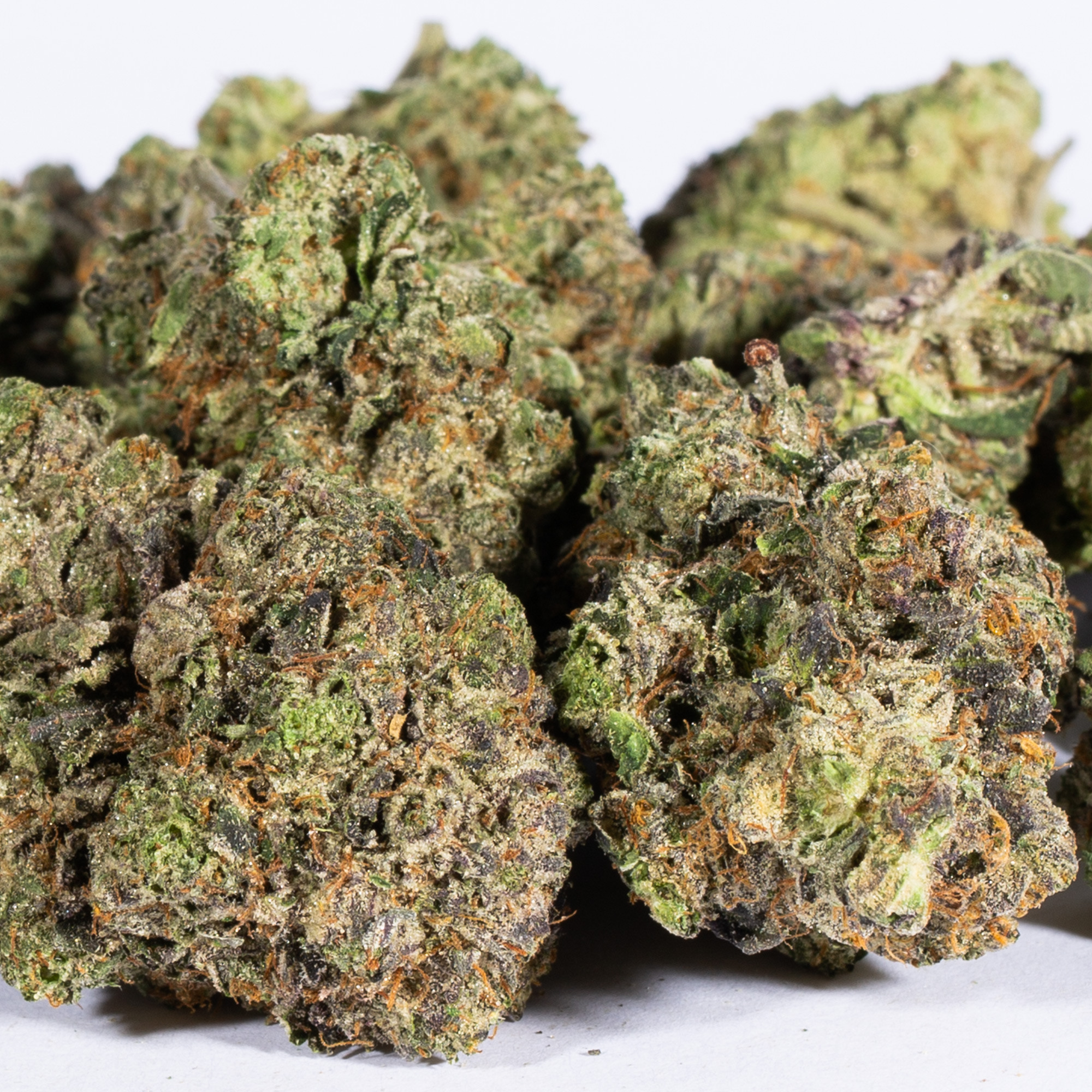 Pink Rockstar (AAA+) - Image 5