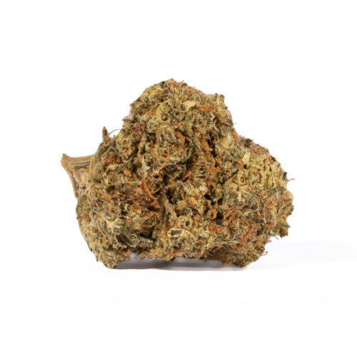 The dominant smell and flavor when smoking Moby Dick is citrusy. This strain also has an earthy lemon taste and a sweet floral aroma. The effects are great in treating depression, anxiety, pain, and muscle spasms. 