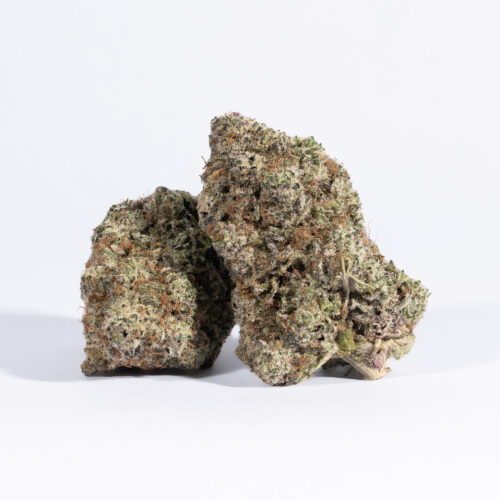 Users describe the SFV OG high as one with an almost immediate onset of relaxing and sedative effects that leave you feeling moderately couch locked with a light pressure in mind and body that is pain relieving. These effects are accompanied by a feeling of elevation and euphoria that is balanced by the deep indica effects.