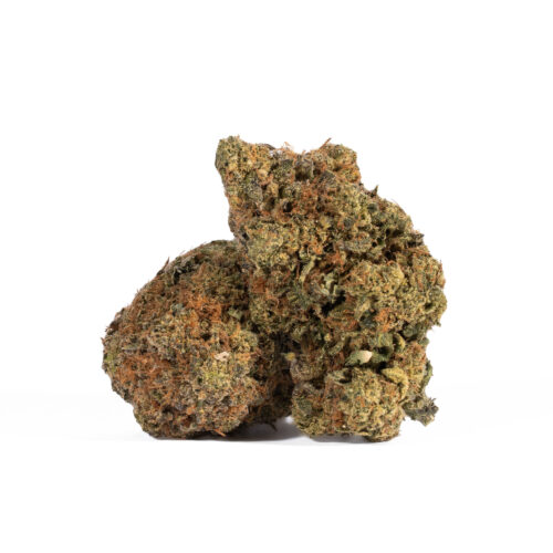 Sharks Breath is known to have a great THC potential. This strain has a subtle smell similar to that of a sweet and sour candy. Although, this is not giving out an impressive flavor, this is good and tolerable. 