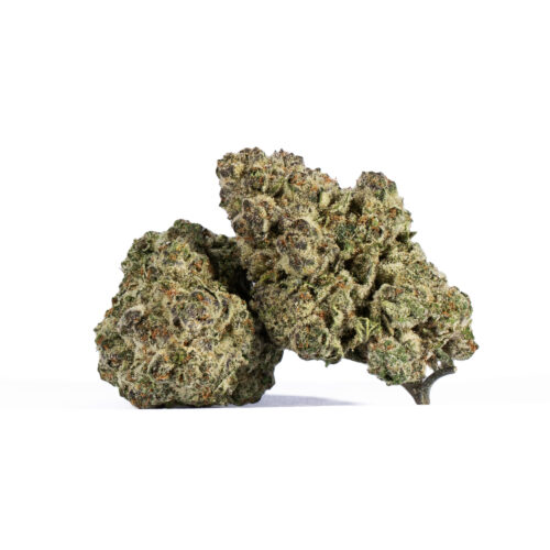 Ricky Bobby OG packs a soaring high that will come racing in a few seconds after your final exhale. You'll find your mind suddenly slammed with a high-flying euphoria that is accompanied by a heavy tingly sense. This tingle will work to numb your brain, erasing negative or racing thoughts and replacing them with a sense of giddy and giggly happiness. A sharp pang of hunger comes next, leaving you reaching for anything in sight to snack on and satiate your hunger.