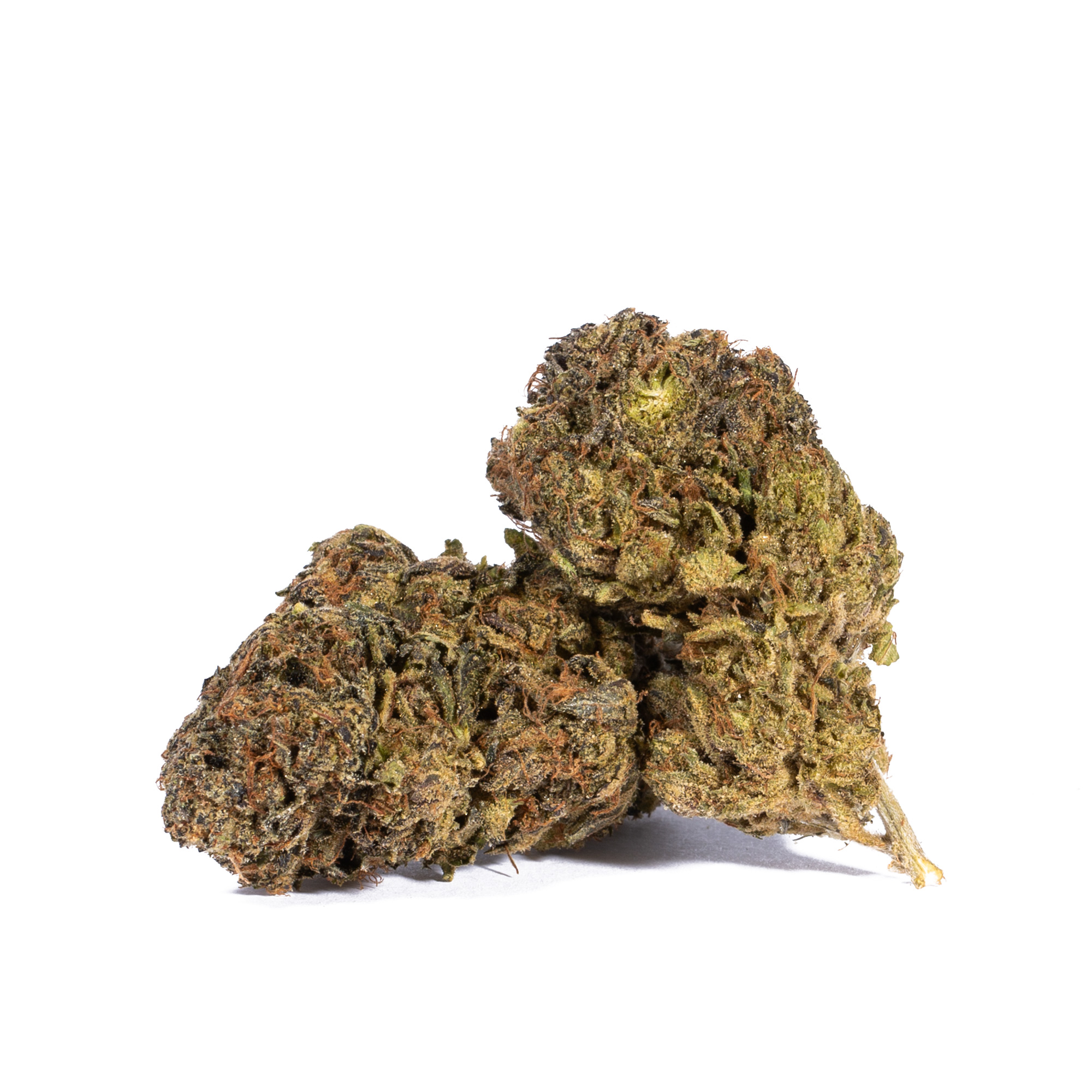 Gastro Pop is the perfect choice for any indica lover. This bud has a super sweet and sugary berry grape flavor with hints of sour citrus and fresh tree fruits. The aroma is very similar, with a sweet berry grape overtone accented by a bouquet of sour citrus, tangy apples and rich spicy diesel. The Gastro Pop high is just as intoxicating, with soothing effects that will numb both mind and body.