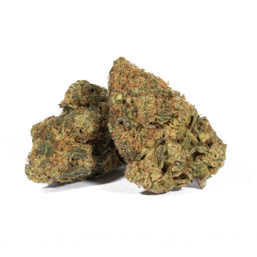 The Alaskan Thunder Fuck Strain can be smoked in the morning or in the day due to its uplifting characteristics. It is immensely popular for a high which is quite different from anything you may have already encountered before. 