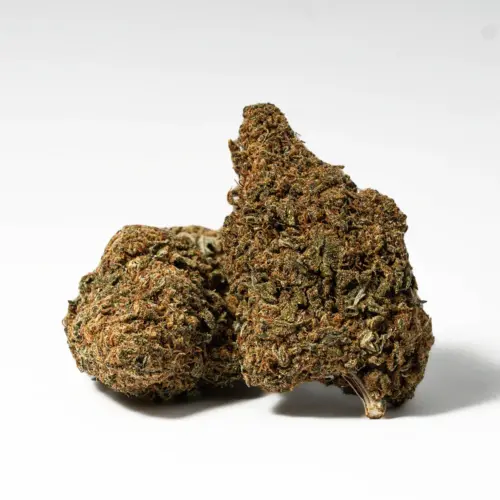 The Zed high hits you slowly, washing over you with a growing sense of calm before completely taking hold and lulling you into a heavy relaxation. This state will quickly become buzzy, numbing any physical or mental pains that you may be experiencing. These effects can top about 3 hours in length and can be sedative at times. Coupled with its THC level, these effects give Zed an edge in treating chronic pain, stress or anxiety, and appetite loss.