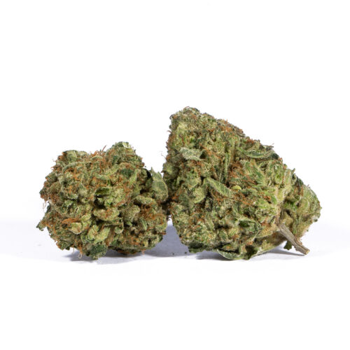 Extreme OG maintains the heady Green Crack effects of its Green Ribbon parent, with a rushing cerebral onset that leaves you alert and focused minutes after toking. As your mind becomes crystal clear, a creeping body high will sneak up on you, suddenly taking hold and pulling you down into deep relaxing sedation. A sharp pang of hunger comes next, although your feelings of lethargy and laziness won't really allow you to get up and grab anything to nosh on.