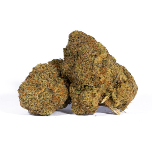 Lime Sorbet will tempt you to toke more than you should. Each delicious inhale of Lime Sorbet brings on flavors of fresh tropical lime and sour berries. The aroma is just as sweet, with a citrusy berry overtone accented by sour lime and sweet lemony earth.