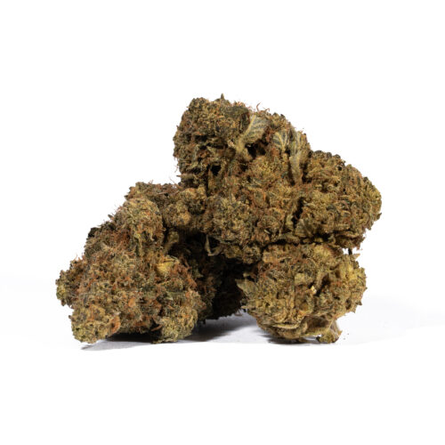 God's Gift delivers a deeply relaxing, euphoric high that often leads to couch-lock and restful sleep. Its sweet berry and grape aroma is complemented by lemon-citrus notes, offering a flavorful experience. Perfect for evening use, God’s Gift is prized for its ability to ease pain, reduce stress, promote sleep, and stimulate appetite.