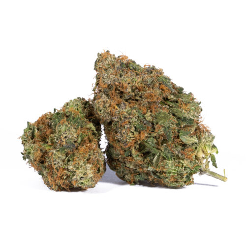 Pink Gorilla is often chosen to treat chronic pain, arthritis, cramps or muscle spasms and migraines or headaches. This bud has a sweet and spicy blueberry flavor with a punch of sour chemicals upon exhale. The aroma is similar, although even more pungent and heavy with a fruity chemical overtone to it.