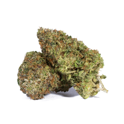 Triple Burger has a truly unique taste, with hints of creamy cheese, savory meat and rich spicy herbal sage. The aroma follows this profile, although it does add a new layer with a light touch of spicy diesel and chemicals. The Triple Burger high is one that will have you feeling cozy and ready to get to sleep after just one or two tokes. You'll feel a slowly building sense of calm begin to wash over you, easing away any bad moods and negative thinking immediately.
