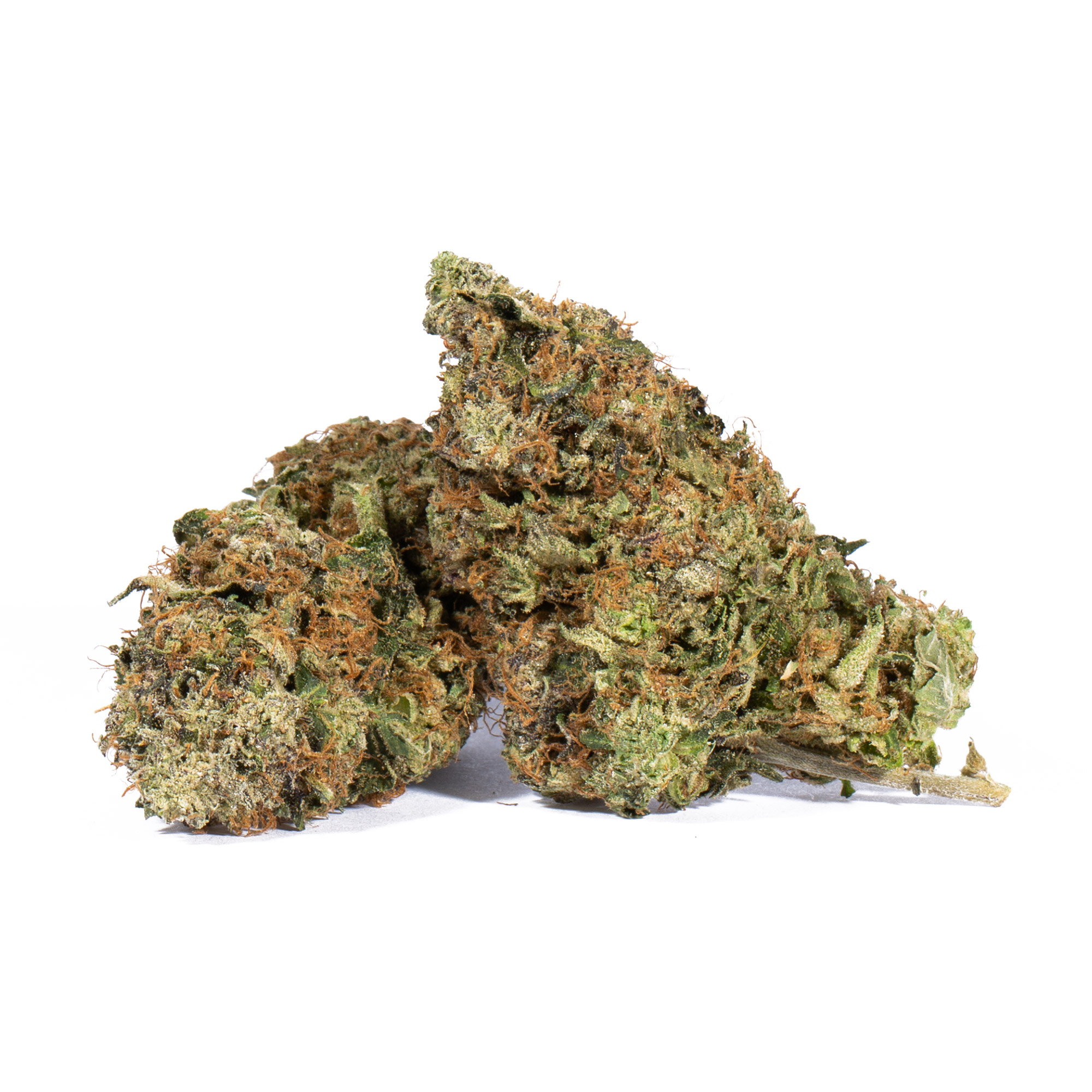 Tropicana Haze is a high-powered sativa, often sought out for its floating, clear-headed high that will have you feeling like you don't have a care in the world. The high will hit you out of nowhere, rushing into your brain with a lifted sense of pure happiness and ease that leaves you with no room for bad moods or racing thoughts. As your mind floats away to a new plane of bliss, your body will begin to settle down into a deeply relaxing state of physical sedation that will have you pretty immovable but not quite couch-locked or sleepy.